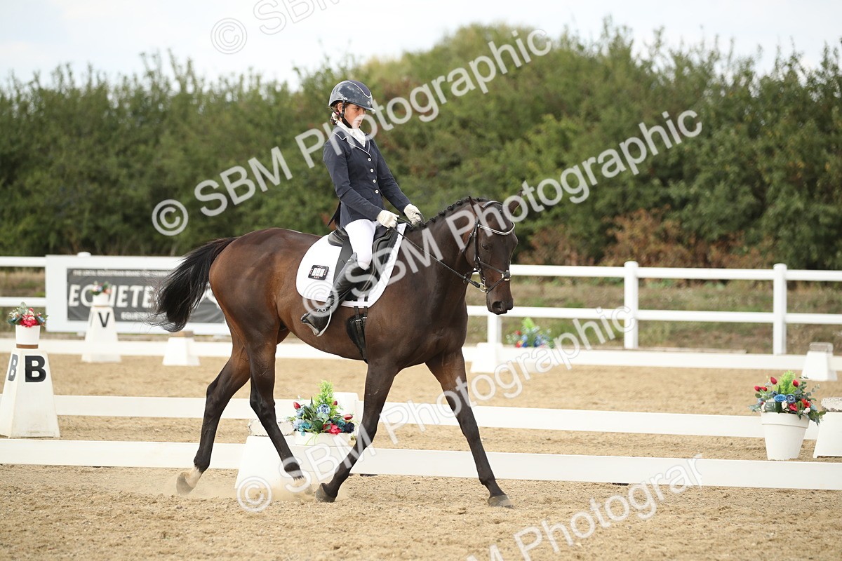 SBM_003055 - Class 6 - Elementary 5 - 14.50-15.46