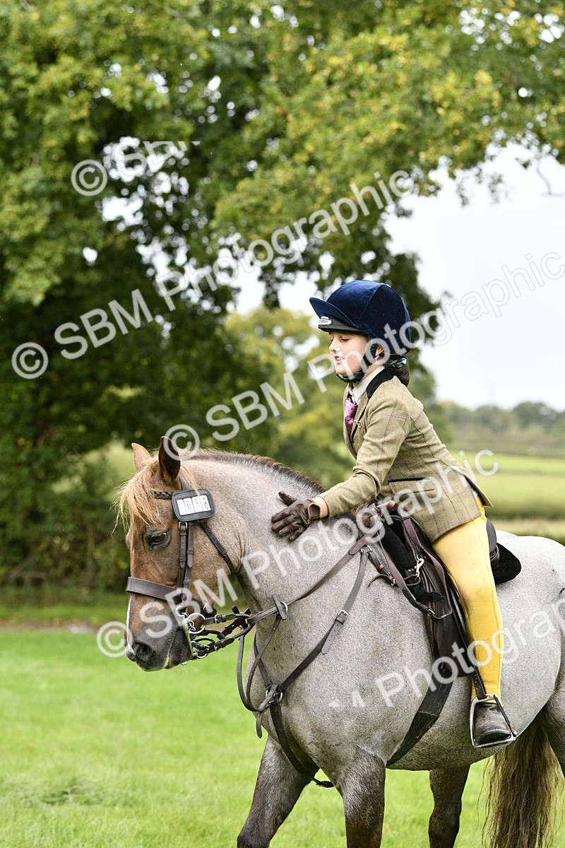 SBM_41343 - S32 - Mountain & Moorland Working Hunter Pony