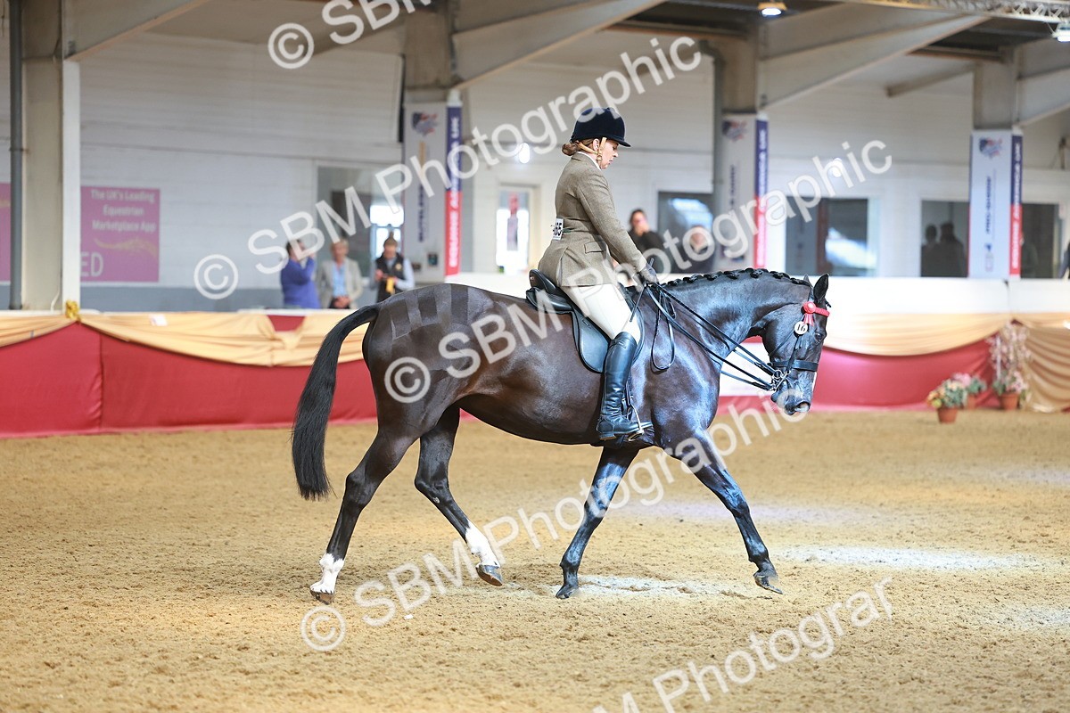 SBM_10603 - Class 103 - HOYS Veteran Qualifier - Ridden Pre Vet