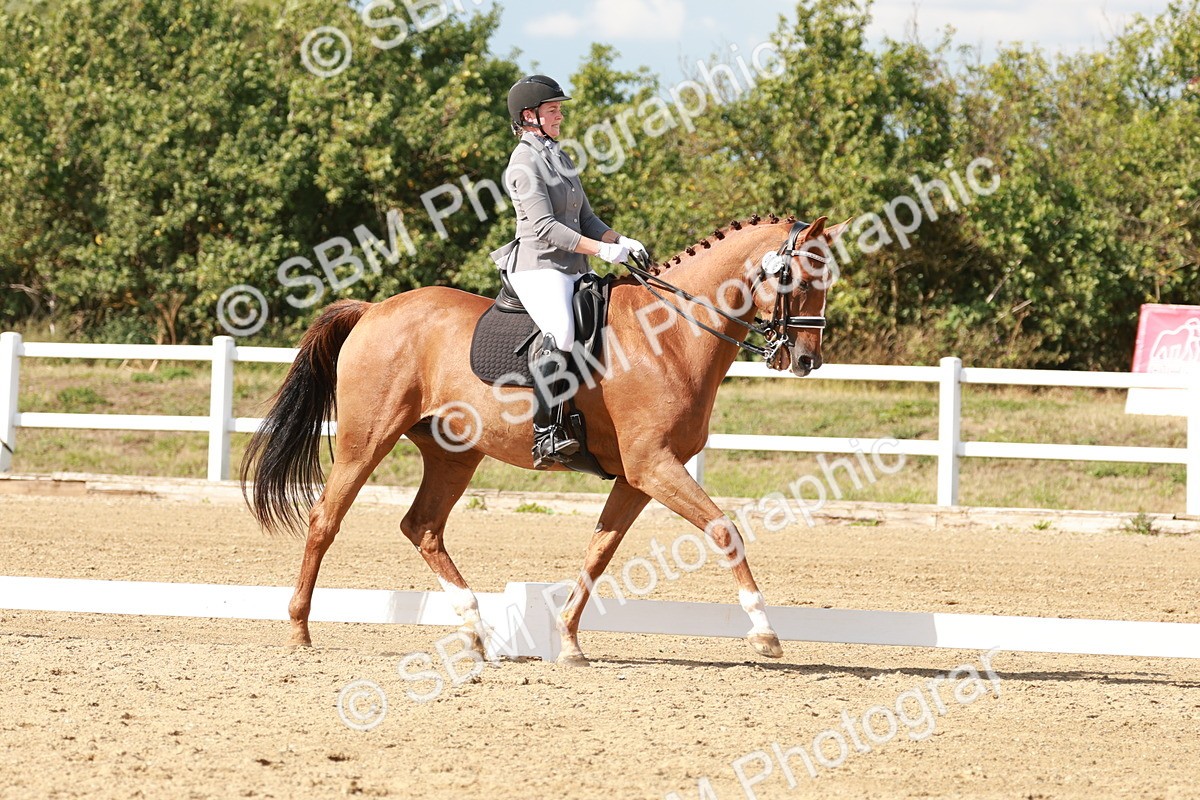 SBM_002549 - Class 11 - Medium 6