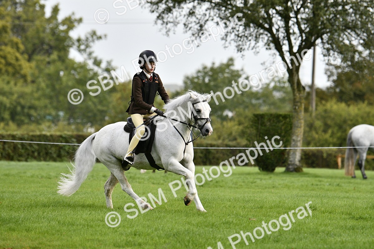 SBM_35425 - S30 - Nursery Stakes Working Hunter Pony