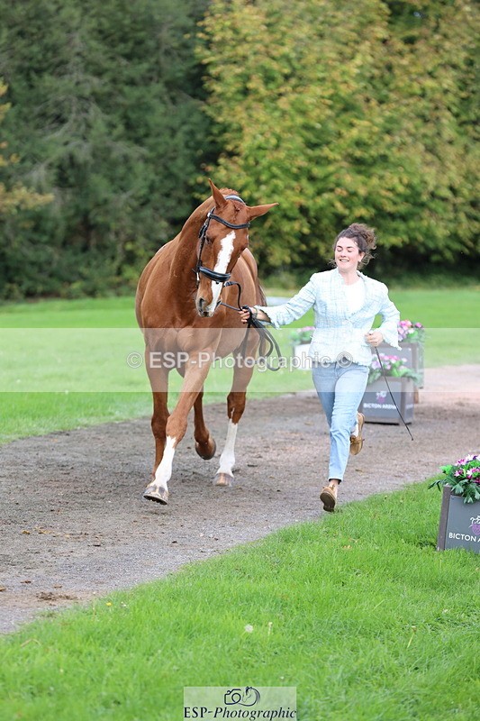 251026A-115302-25737 - G-560-Josie.Dix