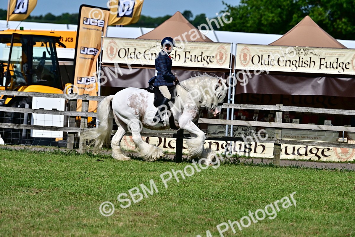 SBM_09383 - Class 63-65 - Traditional Gypsy Cobs In Hand & Ridden