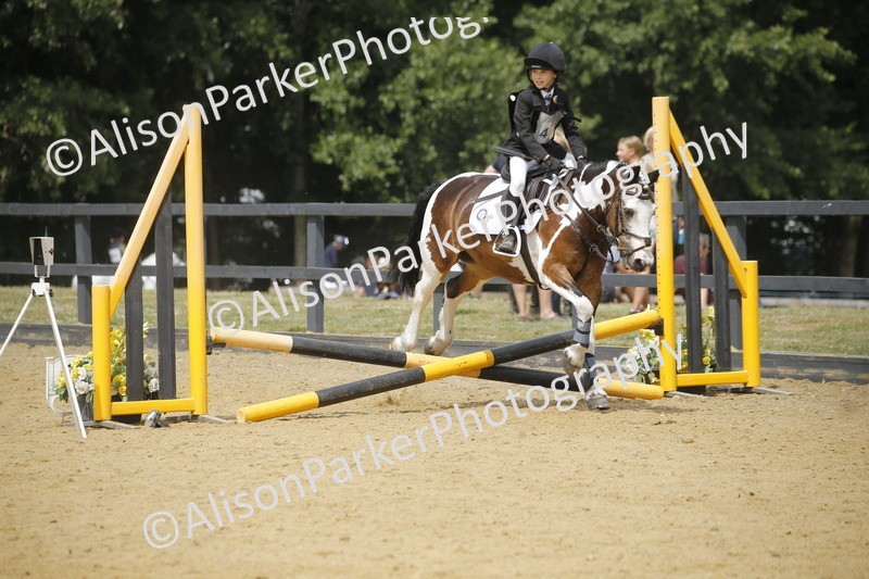 20250622-4122 - 50cm