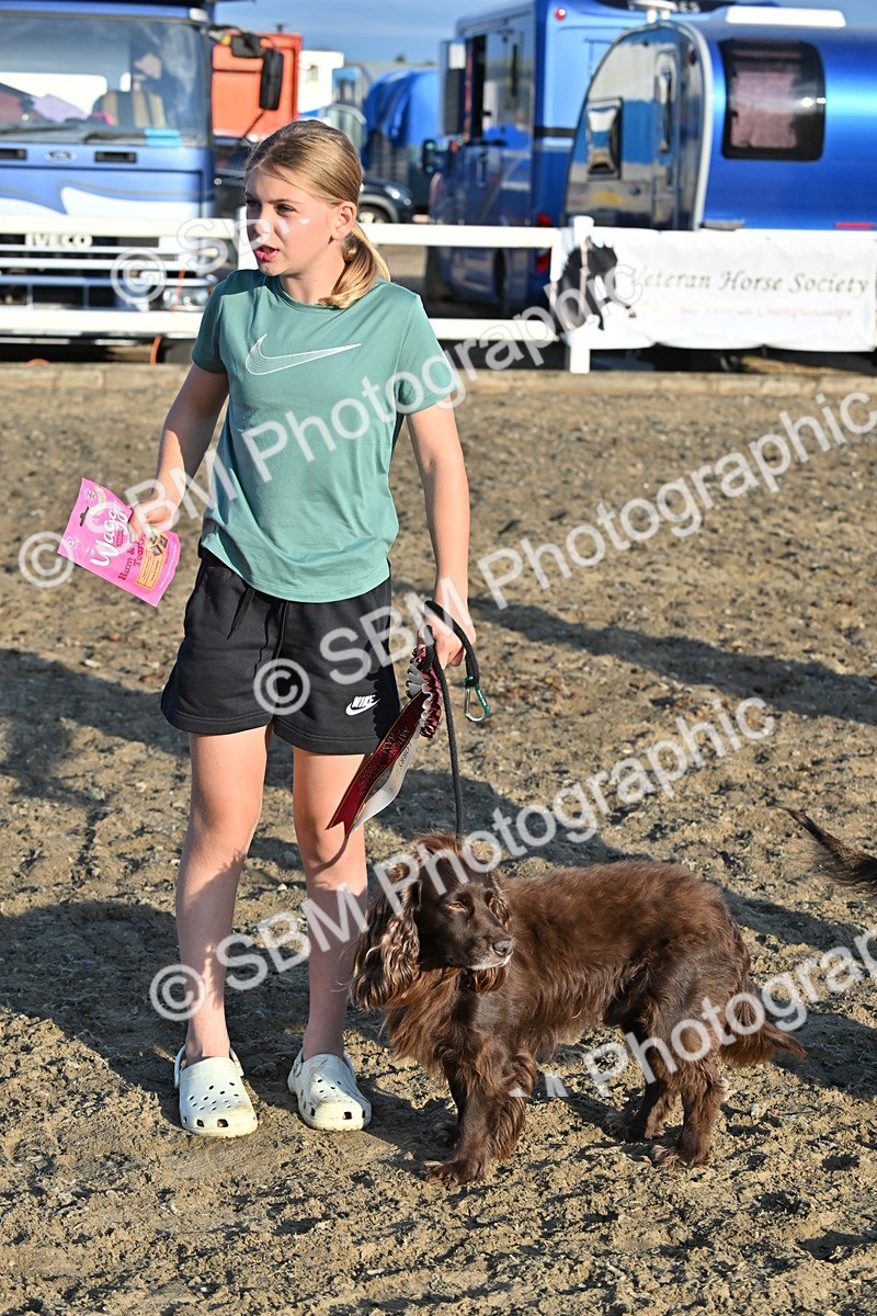 SBM_09417 - Lorry Dogs