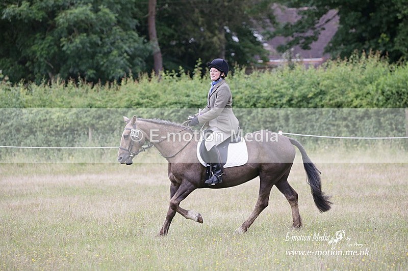 BVRC 030721 862 - Bourne Valley Riding Club Dressage 03/07/21
