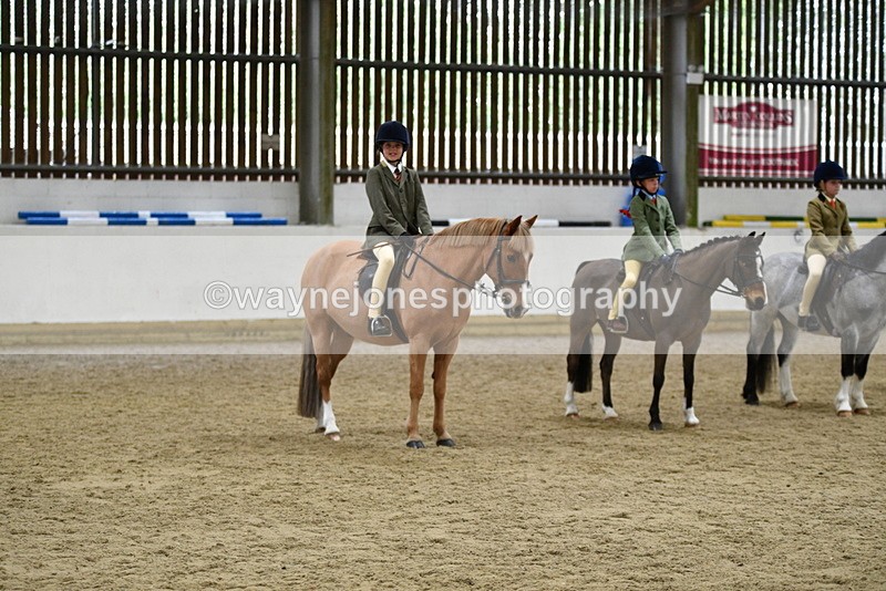 WJ5_7095 - Class 10 Childs Pony