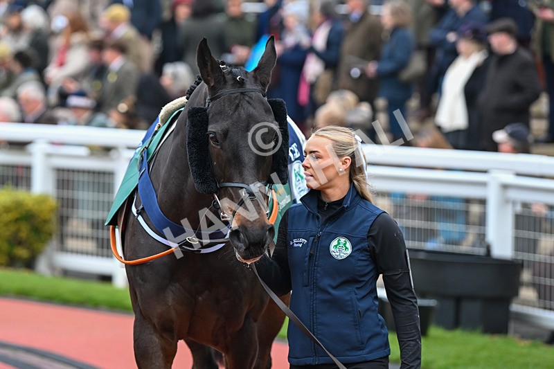 151124-Race 4-Paddock-Conflated-8015 - Race 4