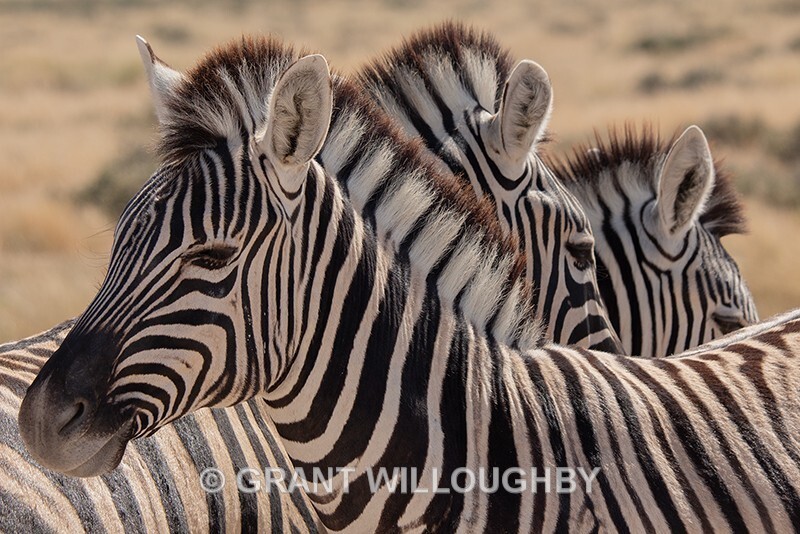 - Namibia