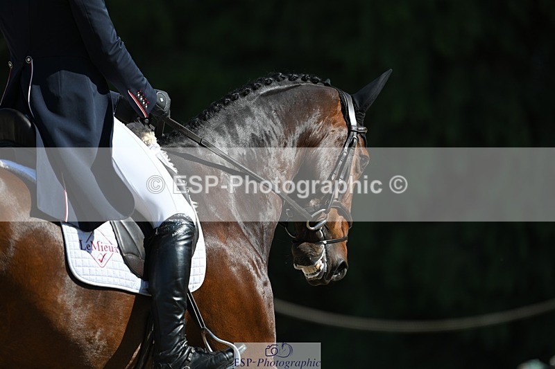 230526-162913-07393 - 257-TURBO-Isabelle_Cook-WEDTrotUp+DR