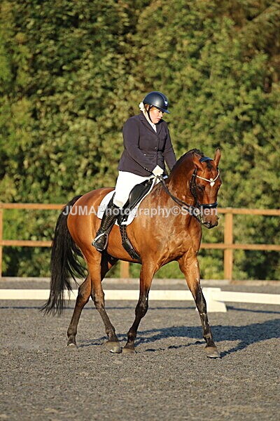 SIAL2485 - Saturday 16th 230pm till finish