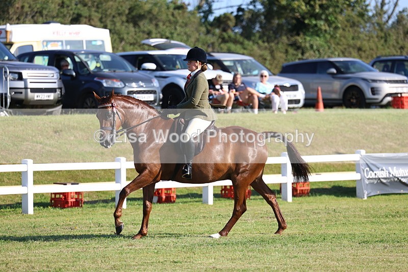 3E7A4994 - Class 1: Rising Star Small Hack/Riding Horses