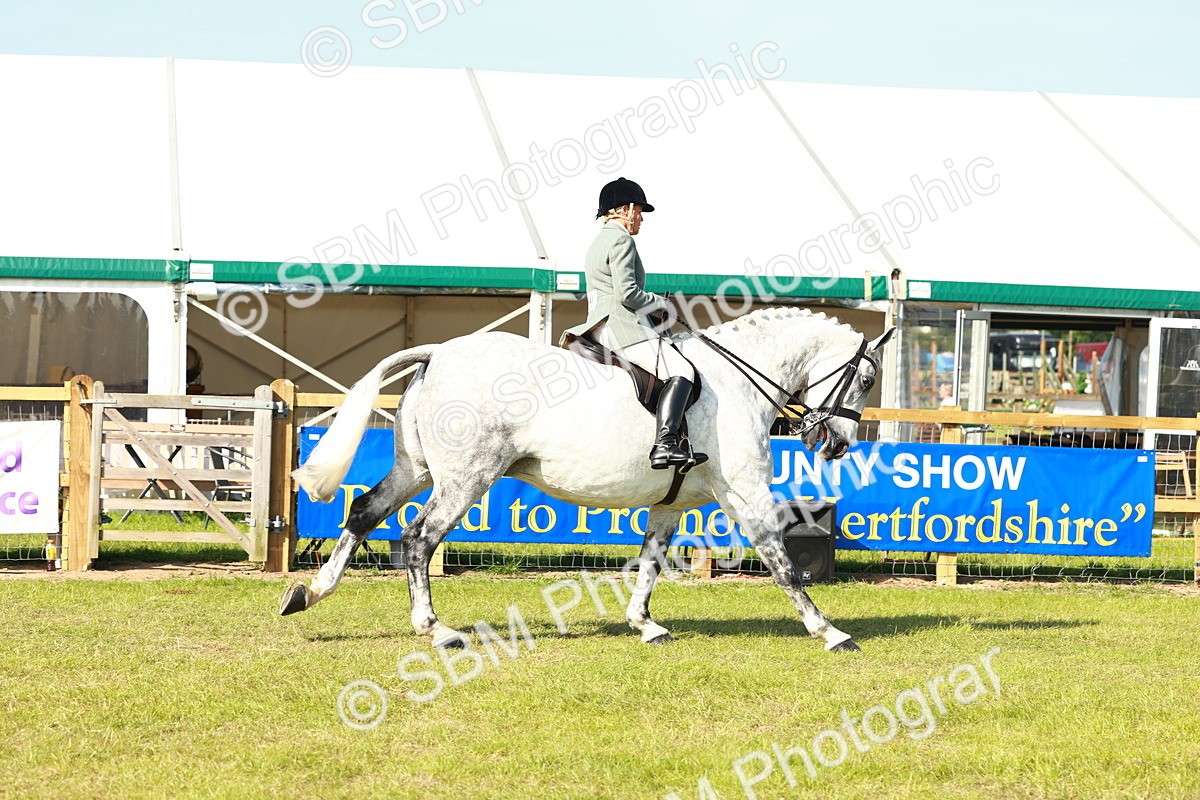 SBM_11767 - Class 66-69 - RIHS Ridden Hunters Inc Small Hunter