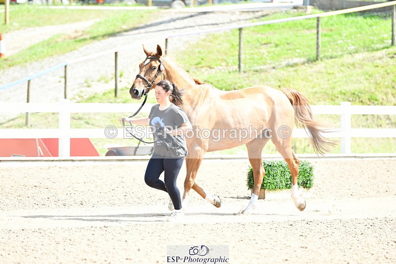 230719A-112217-00003 - Trot Up 11am to 12pm