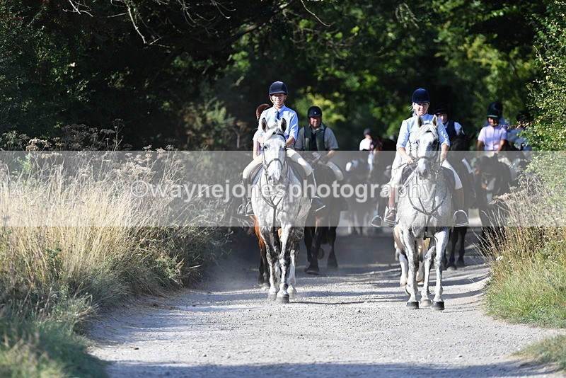 WJ5_4868 - Walk out with the hounds