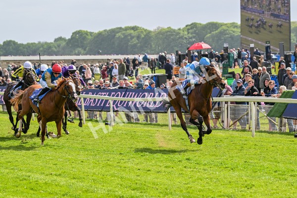 150525-Pride Of Arras-4688 - Race 4 3.45pm Al Basti Equiworld Dubai Dante Stakes