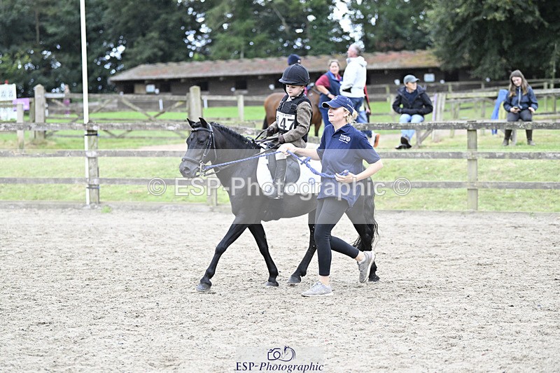 240822X-140403-08743 - 40cm LR R2 13.00 to 15.00