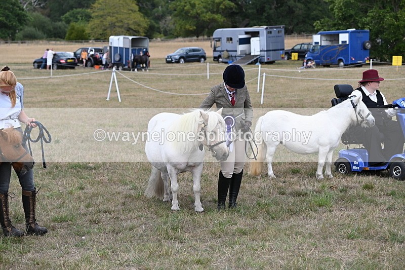 WJ6_7151 - Class 21 Shetland & Mini Horses