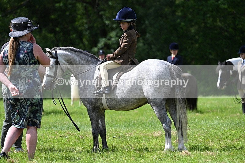 WJ7_1499 - Class 11 Condition & Turnout