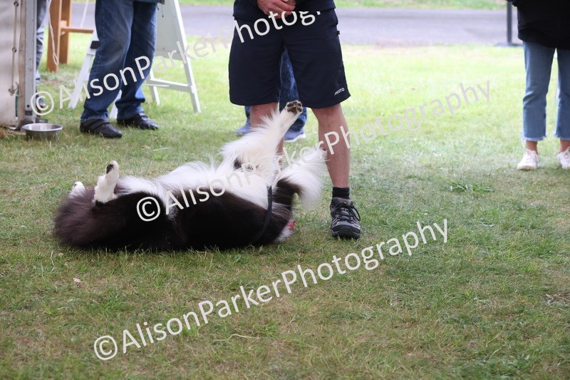 20250607-0470 - Best in Show