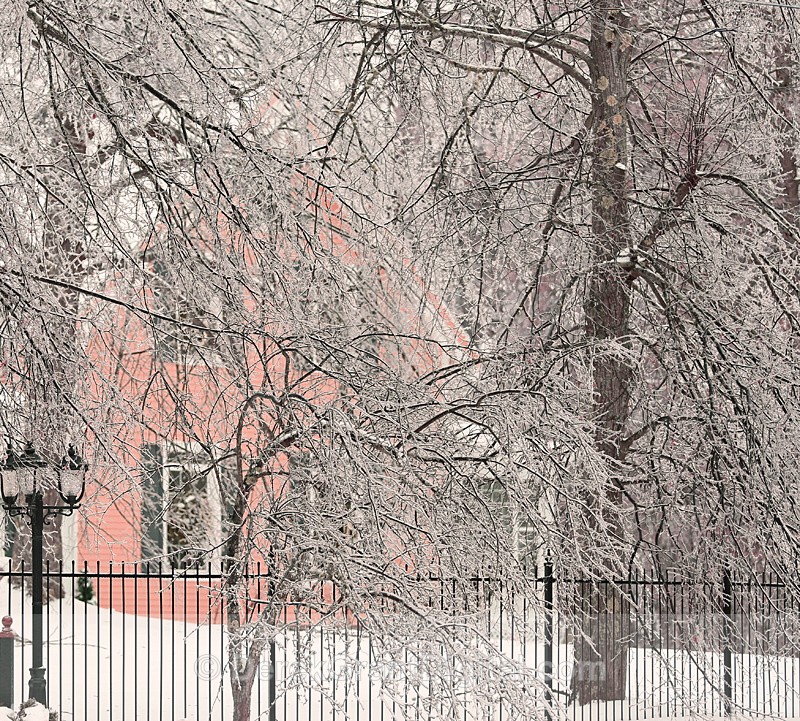 Iced Over - Extreme Weather