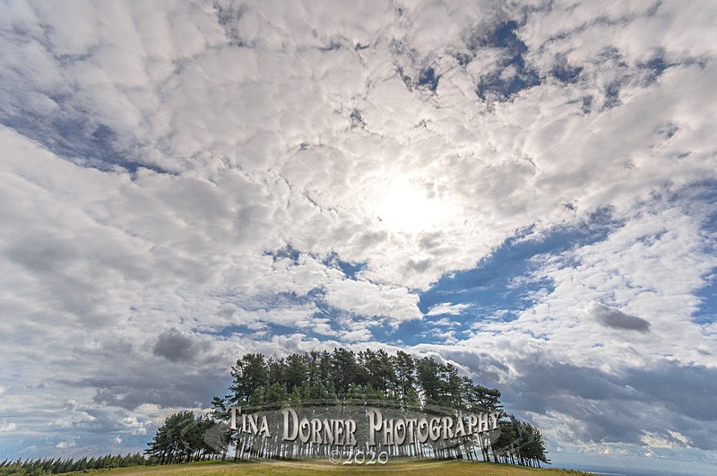 May Hill by Tina Dorner Photography, Forest of Dean and Wye Valley, Gloucestershire