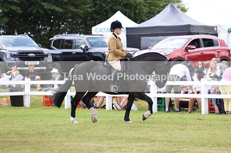 3E7A1854 - Class 10: Open Cob