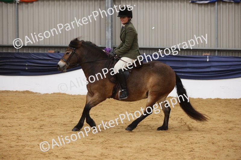 20260913-0633 - Class 126 - Novice Ridden