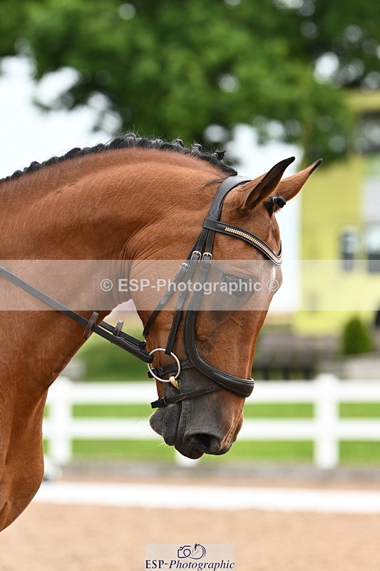 240623A-092225-16012 - Cls 25+26 Quest Intro A