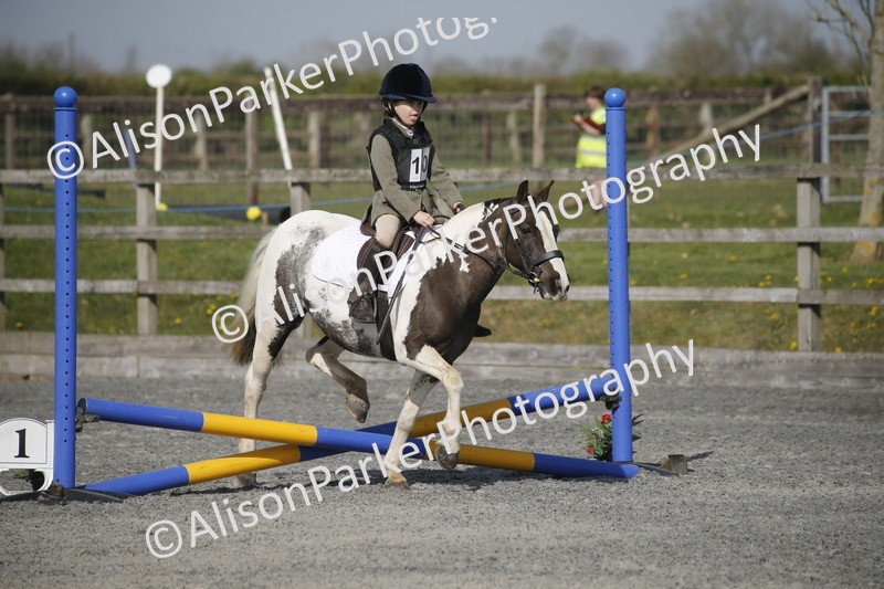 20250412-0247 - Show Jumping