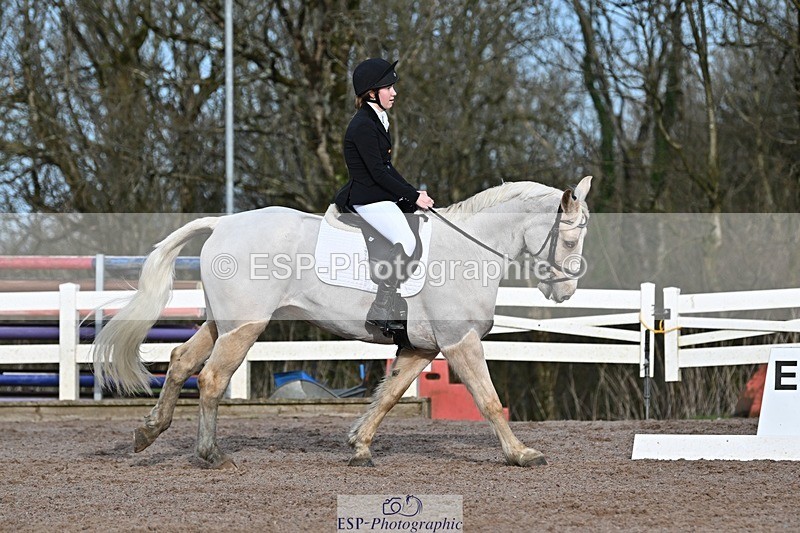 250125-111536-00300 - Dressage - CT Class 5 BE95 (90cm)