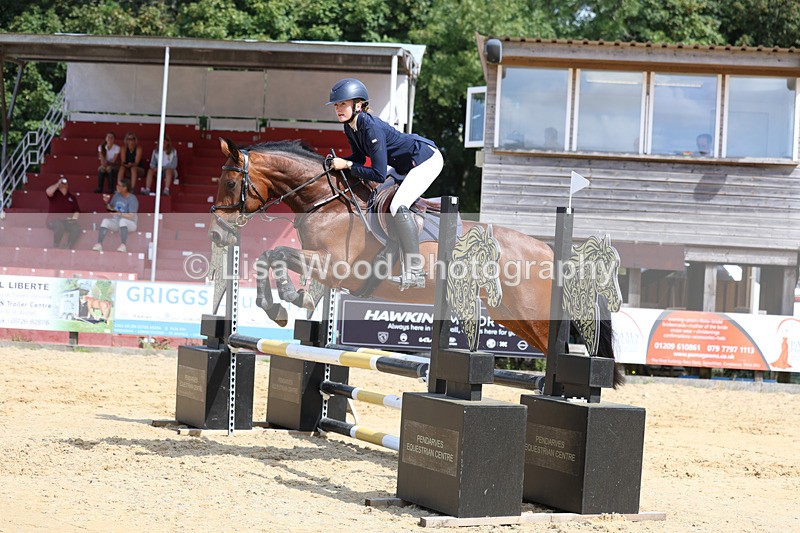 3E7A3610 - Class 4: Senior British Novice/90cm open