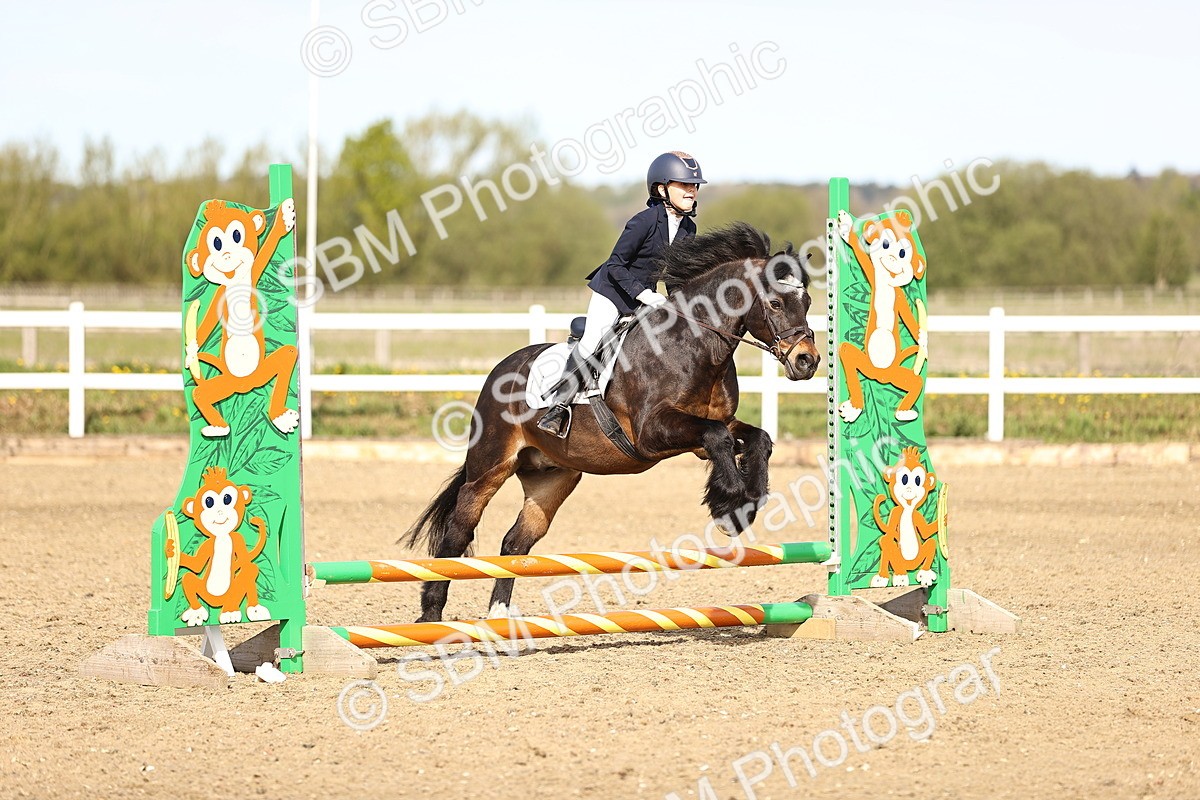 SBM_000077 - 50cm