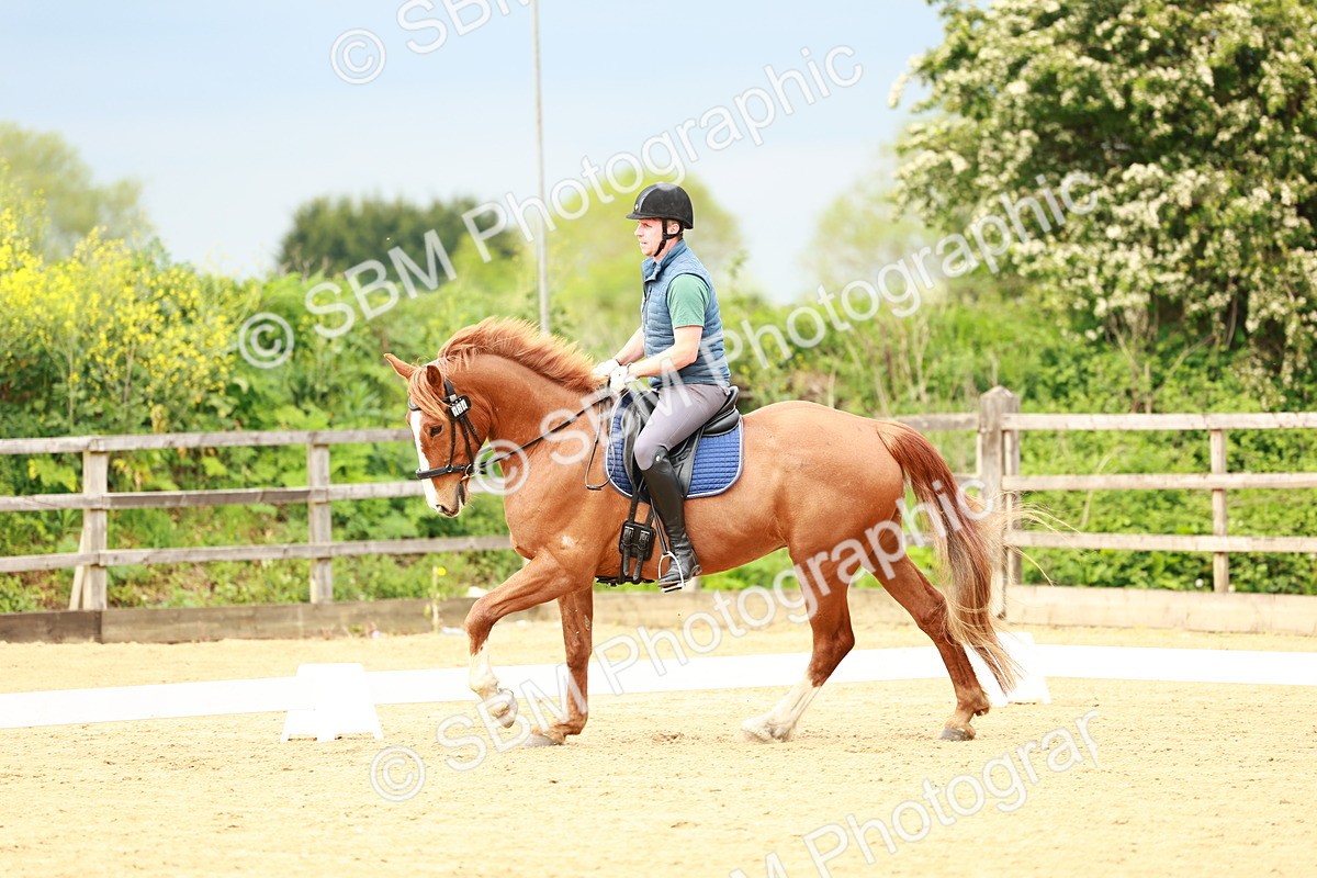 0B8A9236 - Class 5-4 - Novice 2-Prelim 3