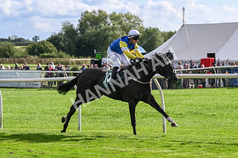 080926-Race 5-Lope Y Linda-2721 - Race 5 4.11pm Every Race Live On Racing TV Handicap