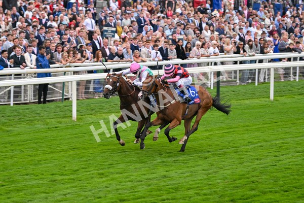 230825-Race 2-Tarriance-0022 - Race 2 2.25pm Sky Bet Melrose Handicap