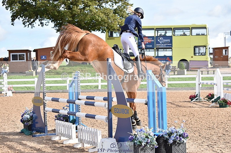 231015A-130710-08208 - Cls 25 95cm Amateur Q 2nd R