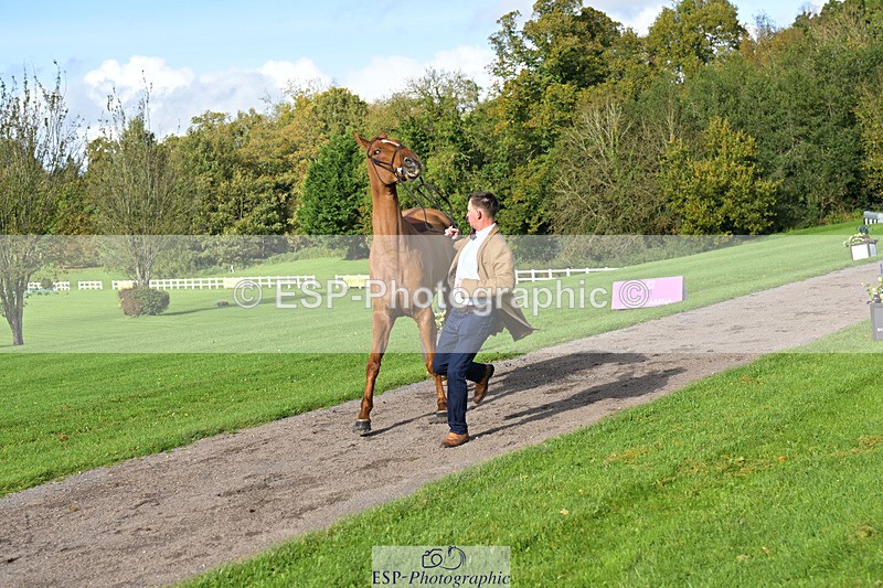 241023-131023-00110 - 054-Matthew.Heath-DASSETT.VENTURE