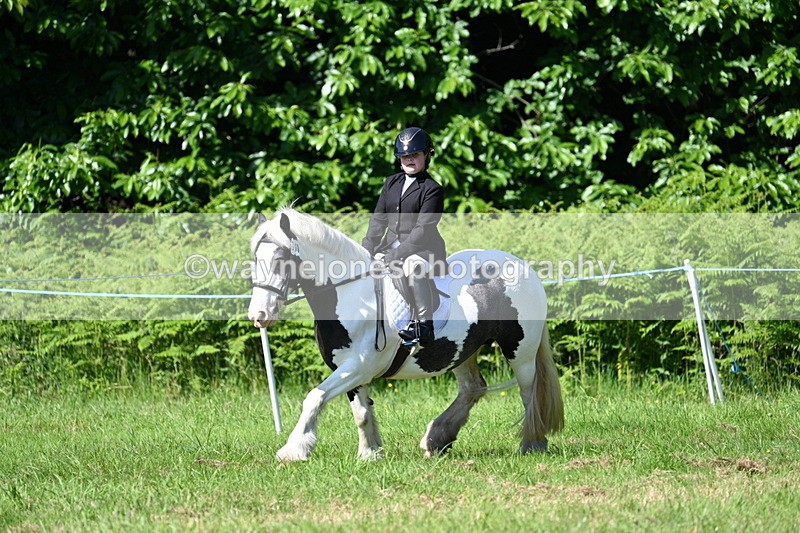 WJ7_0523 - Class 8 First Rally Pony