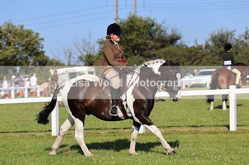 IMG_1413 - Class 28: Ridden Plaited Coloured Pony