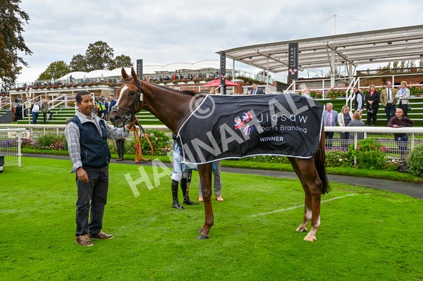 230923-Race 2-Palamon-3051 - Race 2 2.35pm jigsawsportsbranding.co.uk Handicap