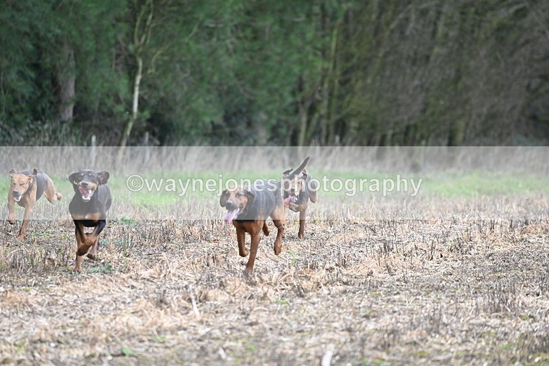 WJ6_9428 - Line Four