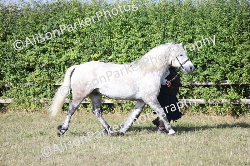 20250831-1347 - Class 21 - Inhand Open