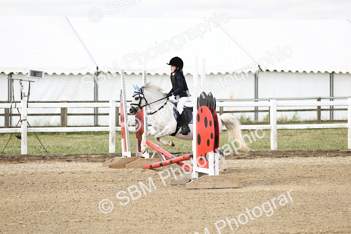 SBM_003262 - 40cm showjumping