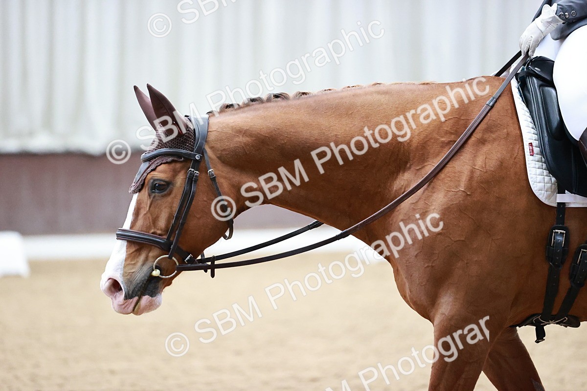SBM_002495 - Class 10 - Elementary 5