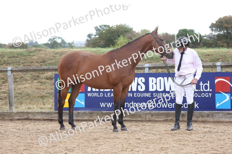 20260831-1930 - Class 5 - Retraining of Racehorses