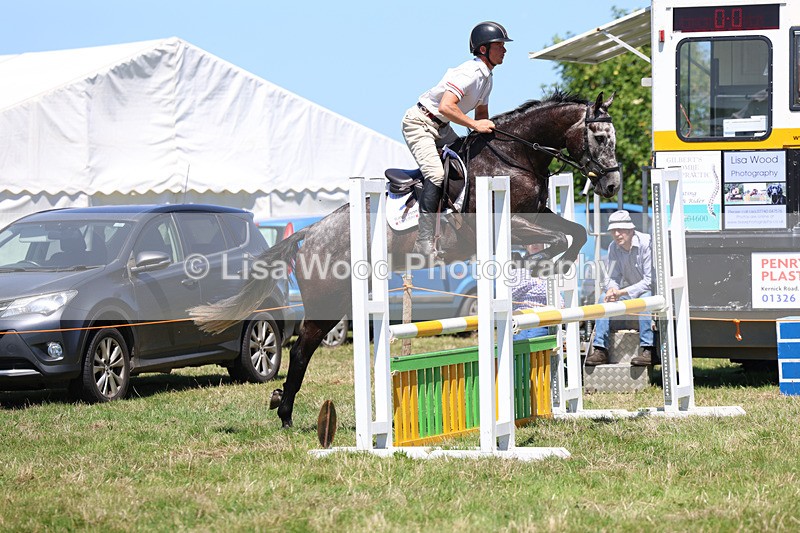 3E7A5455 - Class 9: Senior British Novice/90cm open