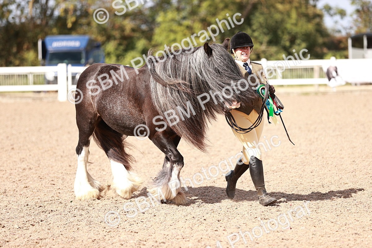 SBM_23034 - Class 707 - IH groom Helpers Class