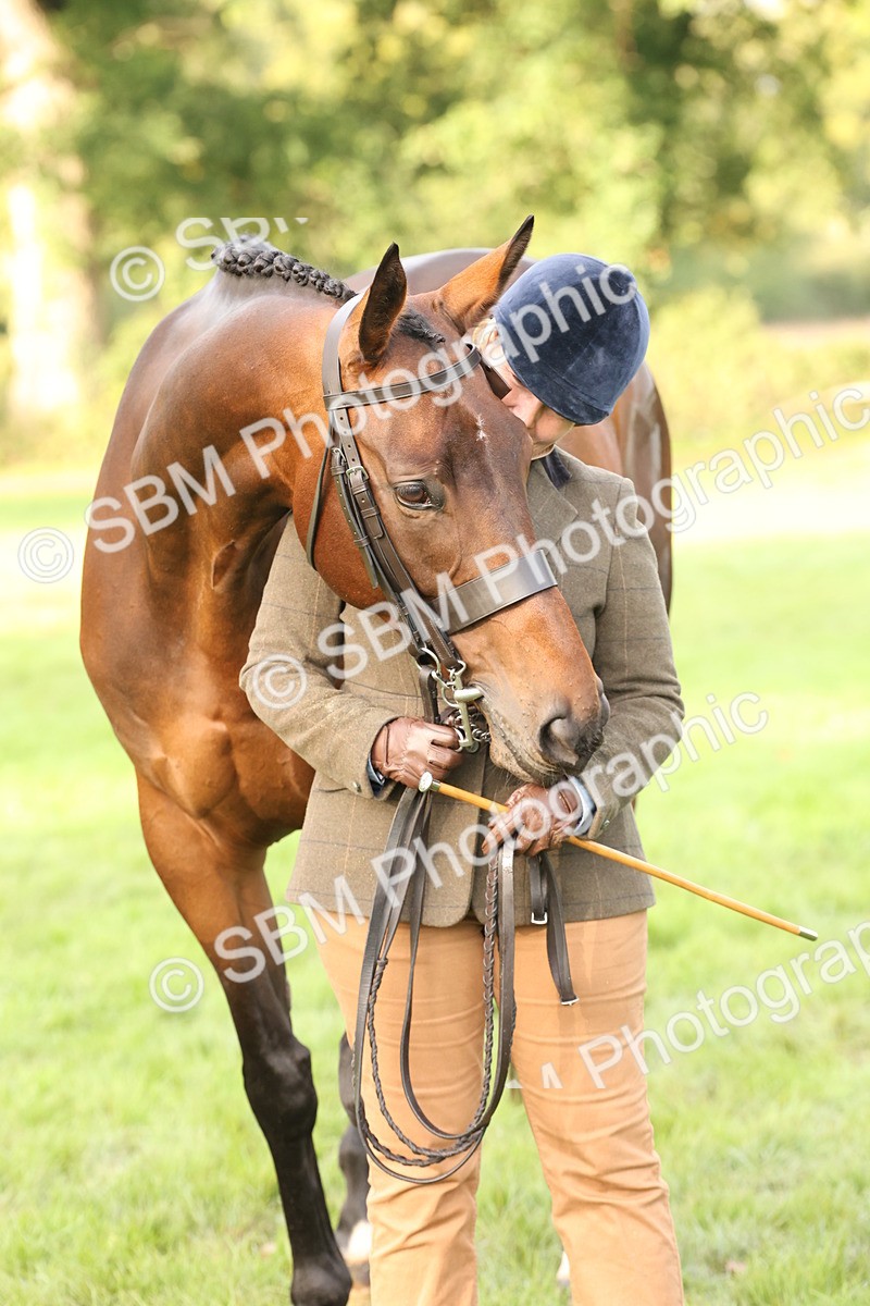 SBM_55000 - S52 - Riding Horse & Hack & thoroughbred In Hand