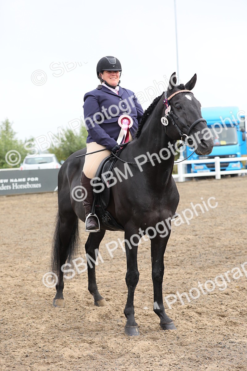 SBM_21413 - Class 805 - Ridden Veteran Horse
